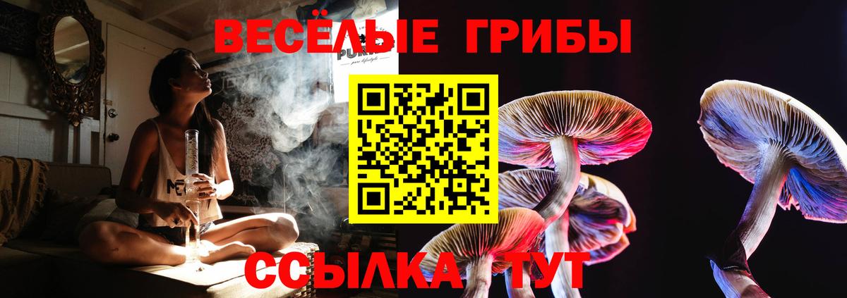 Усть-Джегута  Галлюциногенные грибы GOLDEN TEACHER  Галлюциногенные грибы Psilocybine cubensis  что такое   Вход с VPN 